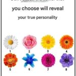 The 6 Eggs Riddle: A Deep Dive into Logic, Cognitive Bias, and Why Your Brain Gets It Wrong