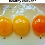 Sunlight in Crystal: A Wedding, a Secret, and the Kind of Justice That Shines