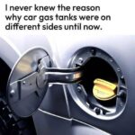 Sleeping With a Quartz Stone on Your Chest: Myth, Meaning, Science, and the Deep Human Need for Ritual