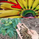 Sleeping on Your Left Side: The Hidden Effects on Your Body, Health, and Mind You Never Expected