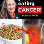 Red Dots on the Skin: What They Mean, Why They Appear, and When You Should Pay Attention