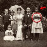 Grilled Chicken & Broccoli Bowls with Creamy Garlic Sauce: A Complete Guide to a Flavorful, Balanced, and Nourishing Meal