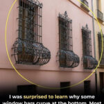 Does Anyone Know Where I Can Buy a Dish Cover With a Switch on the Right and an Outlet on the Left?