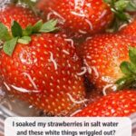 The Effects of Unsweetened Coffee on the Brain and Body: A Deep Scientific Exploration of What Really Happens When You Drink It