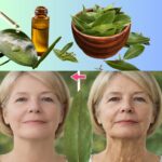 Avoid Heinz Ketchup Like the Plague? A Deep Exploration of Processed Condiments, Ingredients, and the Hidden Story Behind One of the World’s Most Famous Sauces