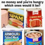 The Mysterious Metal Rack in the Kitchen: Unraveling the Story of Strange Household Objects and the Hidden History of Everyday Tools