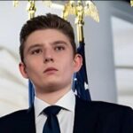 Trumpet Worm Nests and the Quiet Wealth of Childhood: How Simple Curiosity Shapes a Lifetime