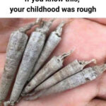 Barron Trump: Growing Up in the Shadow of Power and the Mystery of a Private Life