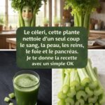 How Many Squares Do You See? The Fascinating Illusion That Reveals More About Your Mind Than Your “Flaws” 🧠🔲