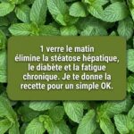 Lemon Powder: The Simple Homemade Ingredient That Transforms Your Cooking, Health, and Daily Life