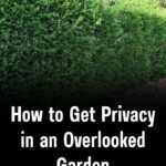 12 Hidden Habits That Make You Look Older Without Realizing It — And How to Reverse Them Naturally