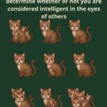 How Many Pickles Belong on a Burger? A Simple Question That Reveals the Hidden Patterns of Your Mind