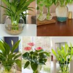 From Broken Beauty to Living Art: Transforming Fake Pearl Necklaces into Wired Botanical Masterpieces