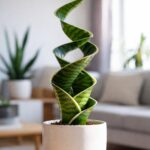 Your Pothos May Be Getting Leggy for an Easy-to-Fix Reason: A Deep Guide to Reviving Full, Lush Growth
