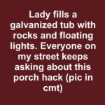 The Complete Guide to Rattlesnake Plant Care: Mastering Calathea Lancifolia for Lush, Healthy Growth