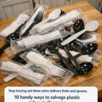 The Hidden Power of Soursop Leaves: A Deep Exploration of Their Health Benefits, Science, and Safe Use