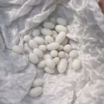 What Your Seat Choice Reveals About You: The Hidden Psychology Behind Where You Sit