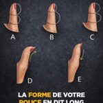 “Not in Our Home, But in Our Barn…” — The Forgotten Glass Sphere That Held Back Fire: A Deep Exploration of Vintage Fire Grenades, Memory, and Human Ingenuity