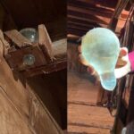 The Hidden Power of the Thumb: What This Small Finger Reveals About Your Body, Mind, and Personality